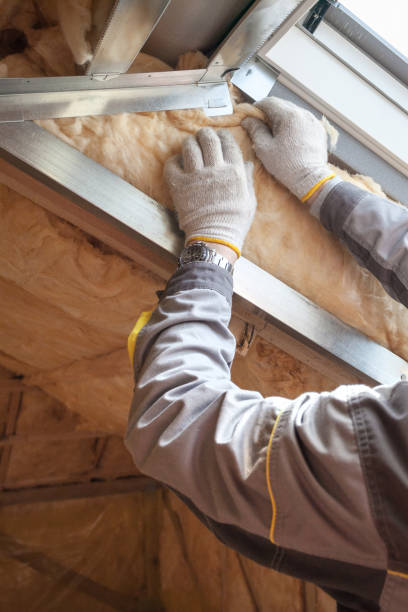 Best Insulation Installation Cost  in Stacy, MN