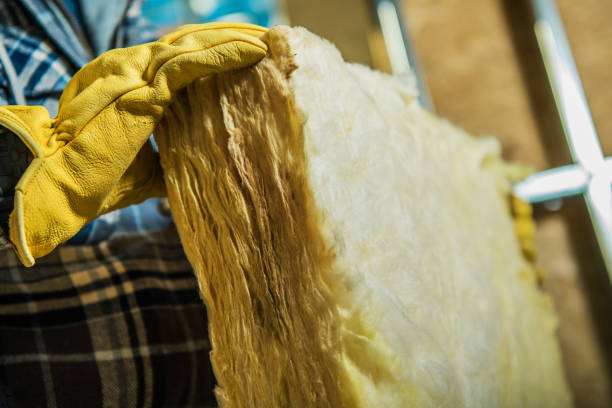 Best Insulation Repair Services  in Stacy, MN