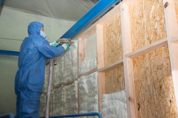 Best Insulation for Commercial Buildings  in Stacy, MN